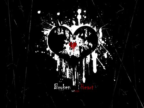 shayan&nbsp;darvishi